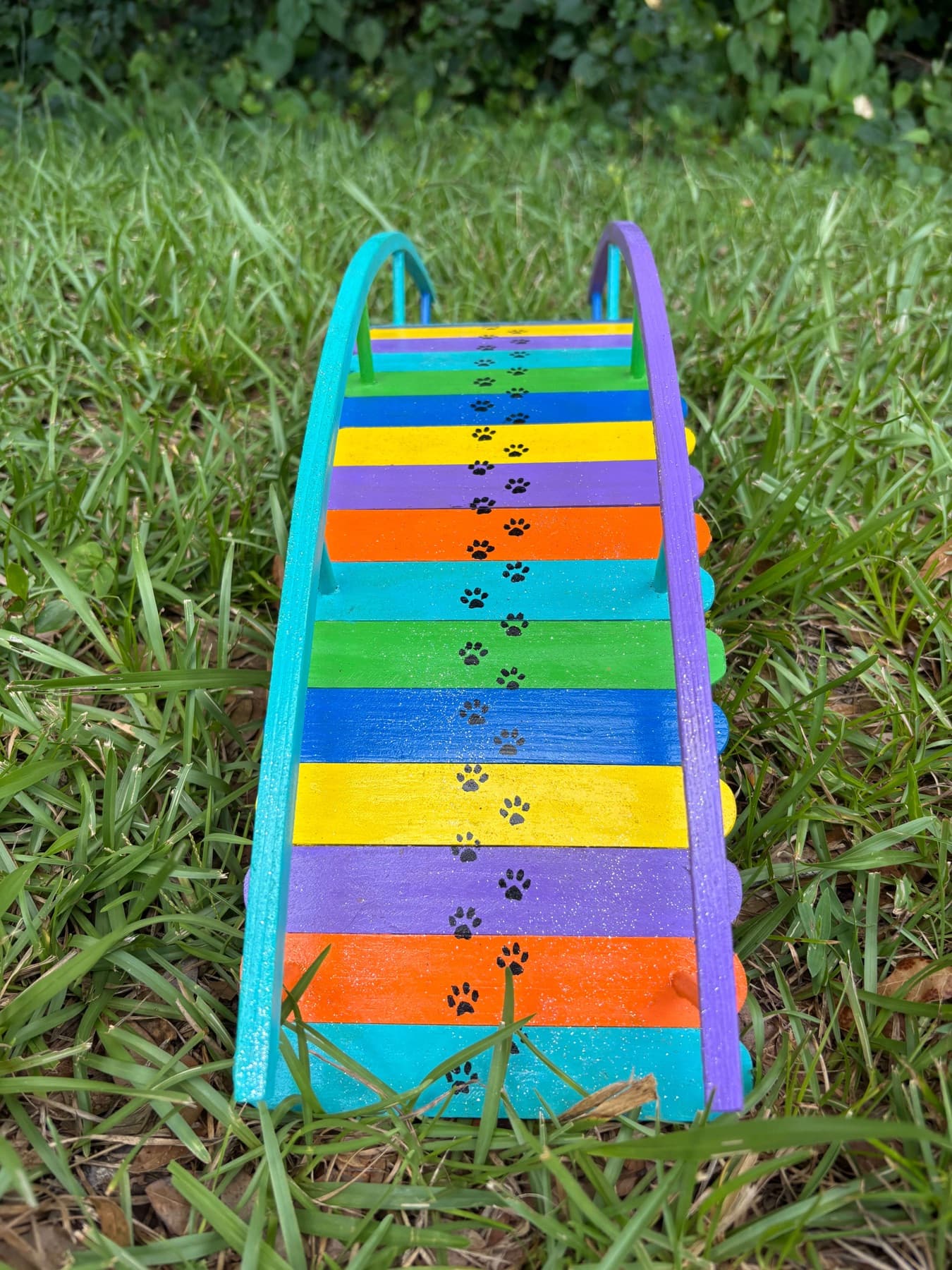 Top-down view of the first giveaway Rainbow Bridge, paw prints painted down its deck